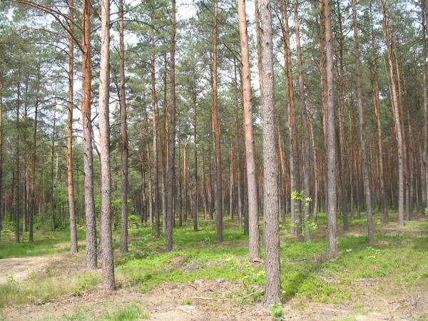 Ostoja Wypoczynku Dom, Pokoje Do Wynajęcia