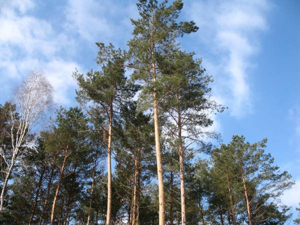 Ostoja Wypoczynku Dom, Pokoje Do Wynajęcia