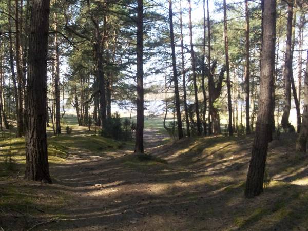 Ostoja Wypoczynku Dom, Pokoje Do Wynajęcia