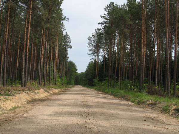 Ostoja Wypoczynku Dom, Pokoje Do Wynajęcia