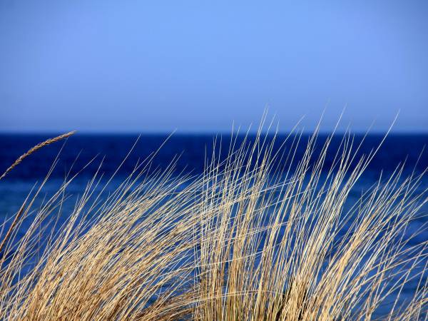 Ośrodek Wypoczynkowy Wielki Błękit