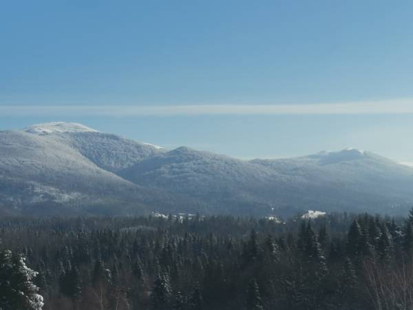 Widok z okna na Połoniny