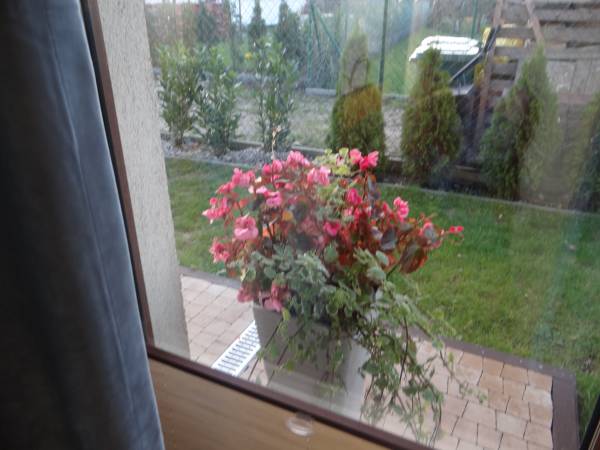 Apartamenty Willa Bruno