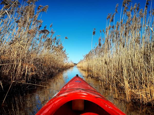 źródło: kajakowa przygoda
