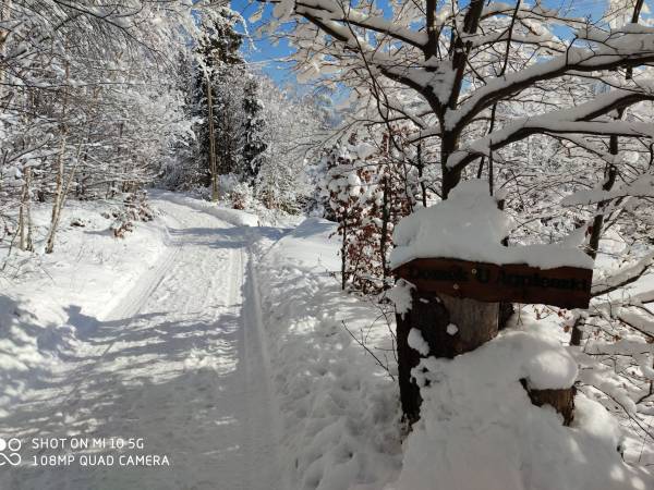 Domek u Agnieszki na Gronicku