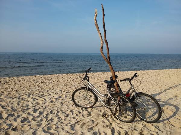 Apartament Pistacjowy Jastrzębia Góra