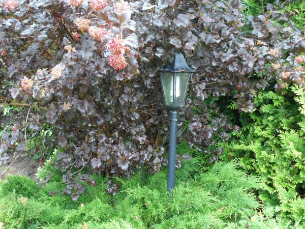 Domki Letniskowe Katarzyna