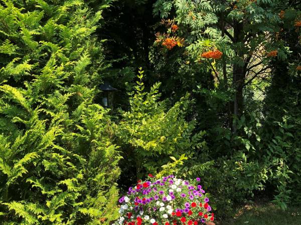 Domki Letniskowe Katarzyna