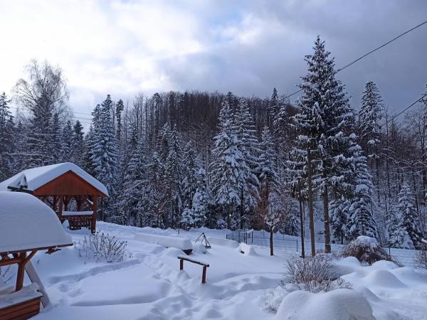 Wiślany Raj Pokoje i Apartamenty