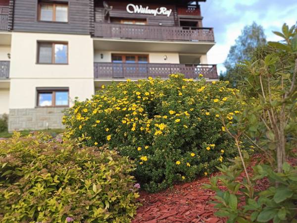 Wiślany Raj Pokoje i Apartamenty