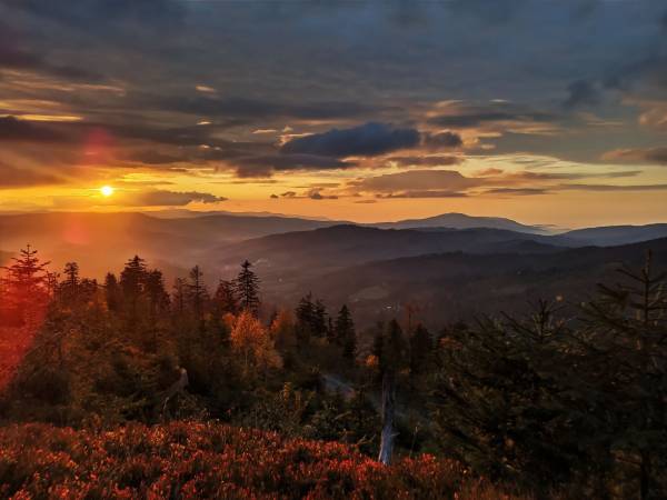 Wiślany Raj Pokoje i Apartamenty