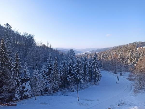 Wiślany Raj Pokoje i Apartamenty