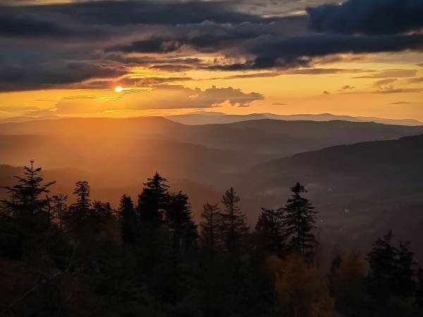 Wiślany Raj Pokoje i Apartamenty