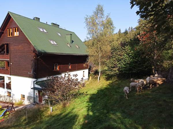 Wiślany Raj Pokoje i Apartamenty