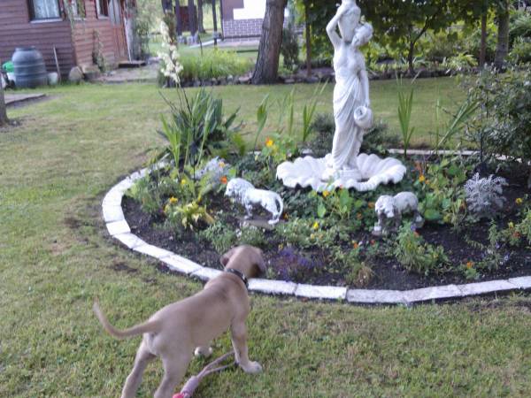 Agroturystyka w Dolinie