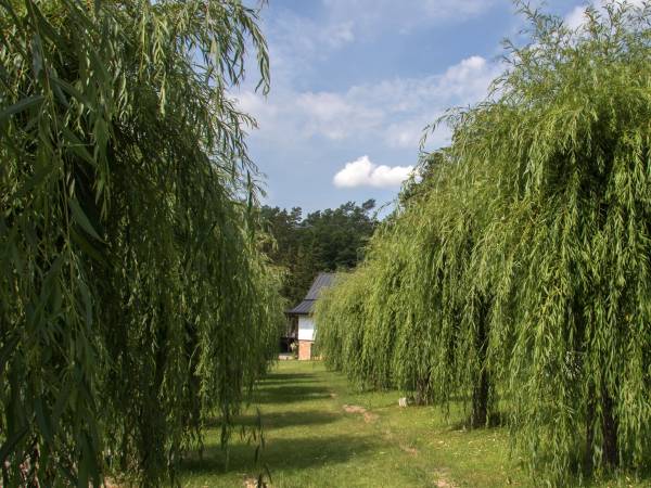 Domki całoroczne Krasno