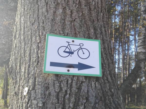 Pętla Ostaszewska Błękitny szlak