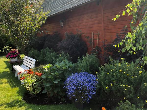 Domki Letniskowe Katarzyna