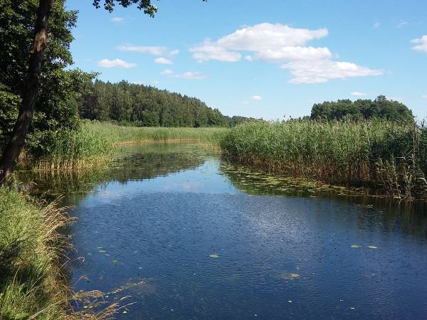 Domki letniskowe nad jeziorem Gołdopiwo