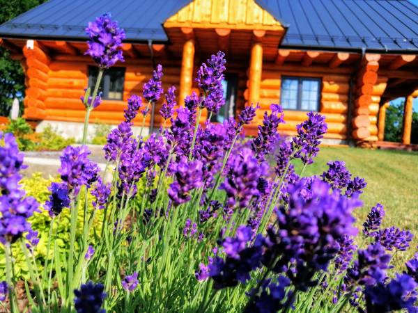 Apartamenty i pokoje gościnne nad jeziorem, noclegi