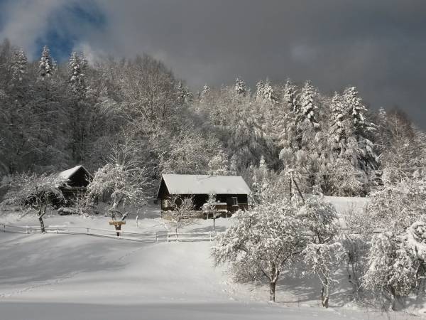 Chata Pod Kamiennym Groniem