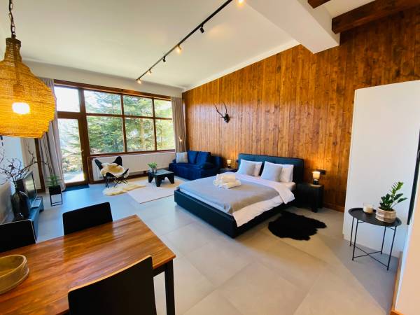 Apartamenty Piwniczna