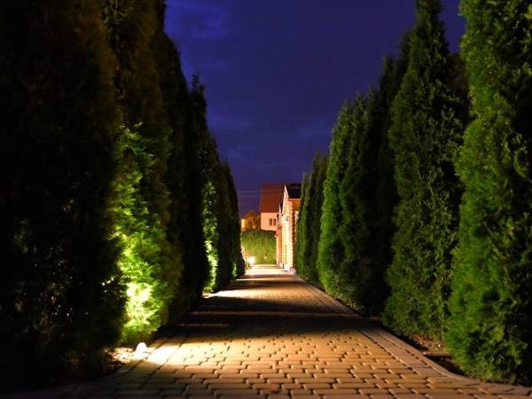 Stacja Lato - domki tylko dla rodzin z dziećmi