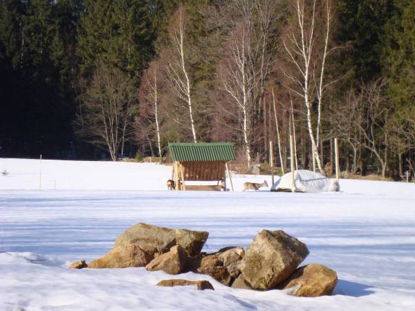 Trzy Kultury Złoty Widok