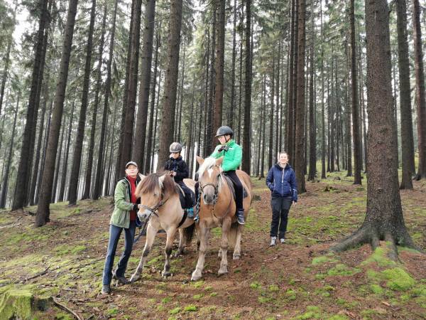 Agroturystyka-Zagroda Studzienno
