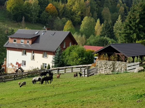 Agroturystyka-Zagroda Studzienno