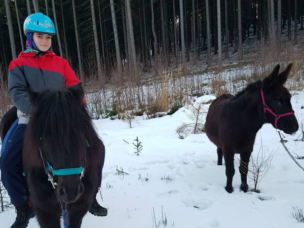 Agroturystyka-Zagroda Studzienno