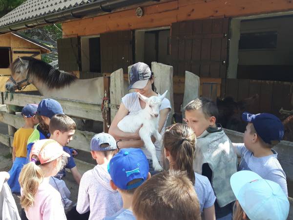 Agroturystyka-Zagroda Studzienno