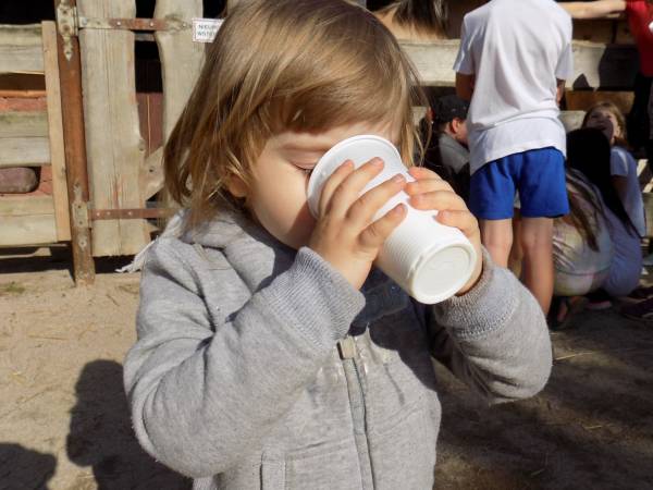 Agroturystyka-Zagroda Studzienno