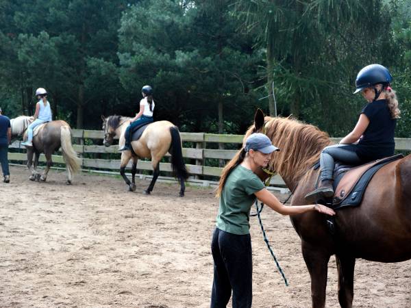 Agroturystyka-Zagroda Studzienno