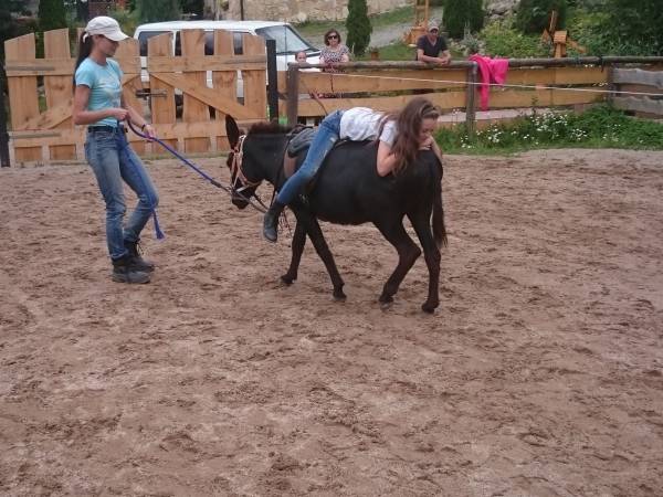 Agroturystyka-Zagroda Studzienno