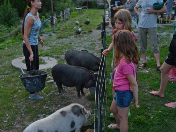 Agroturystyka-Zagroda Studzienno