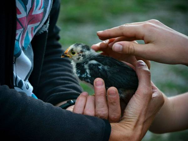 Agroturystyka-Zagroda Studzienno