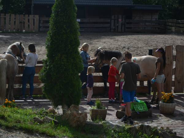 Agroturystyka-Zagroda Studzienno