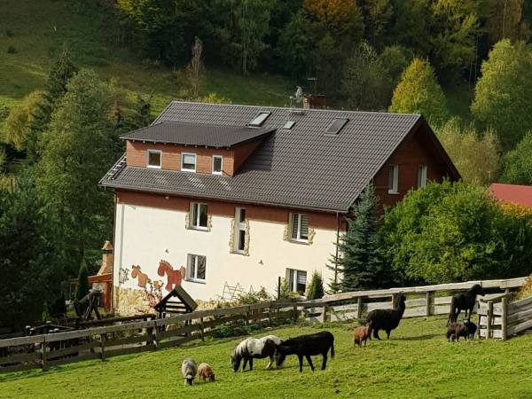 Agroturystyka-Zagroda Studzienno