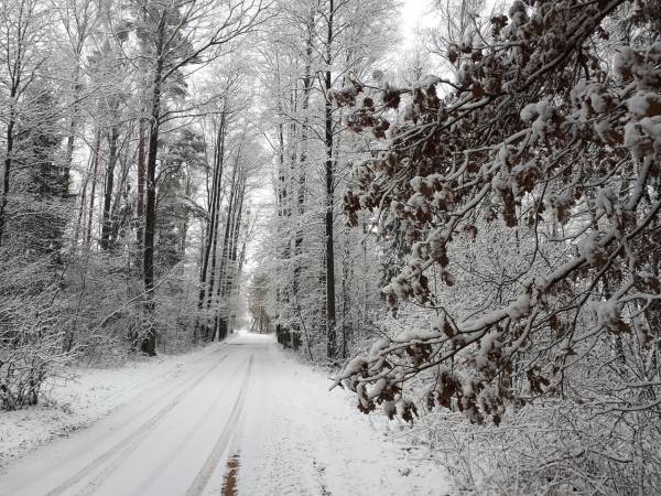 Dom na Końcu Tęczy