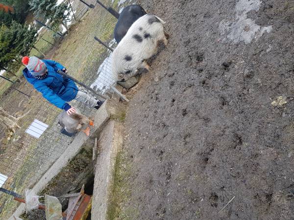 Agroturystyka-Zagroda Studzienno