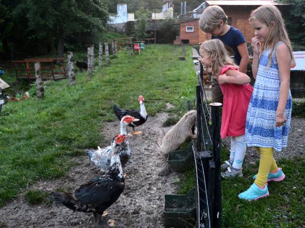 Agroturystyka-Zagroda Studzienno