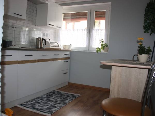 Kuchnia w apartamencie