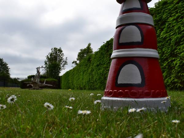 Roślinność na działce