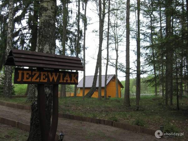 Jeżewiak