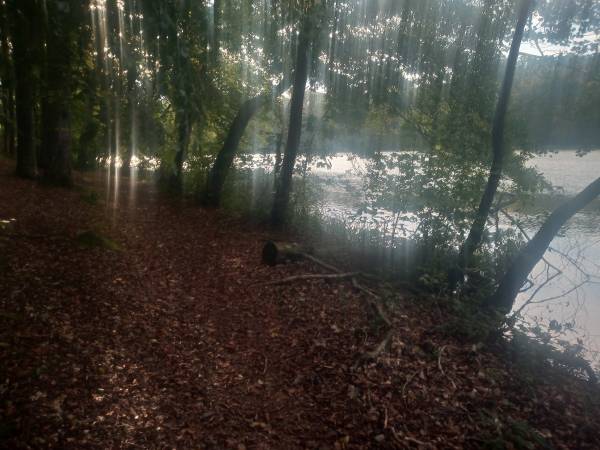 Domki na Kaszubach Liniewo