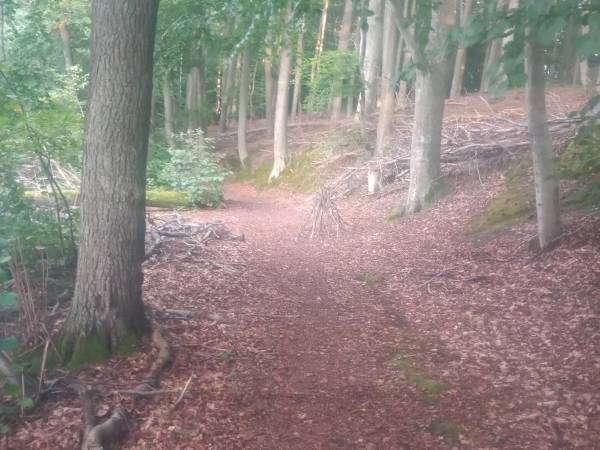 Domki na Kaszubach Liniewo