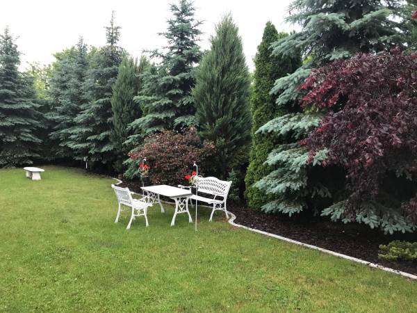 Apartamenty Królewska Kwatera