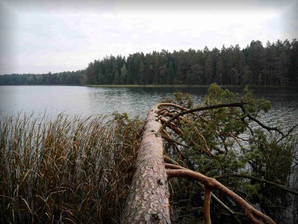 Jezioro Długie w pobliżu posesji