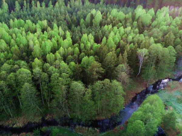 Granica posesji - rzeka Blizna